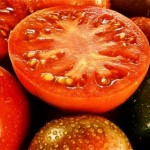 皮が固いすっぱいまずいトマトをやわらかく甘くする栽培のコツ