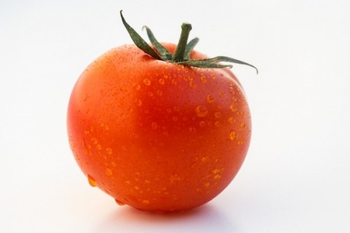 トマトをベランダでプランター栽培する時の枯れない水やりのコツ 家庭菜園インフォパーク