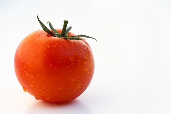 トマトをベランダでプランター栽培する時の枯れない水やりのコツ 家庭菜園インフォパーク