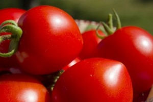 tomatoes-503447_640
