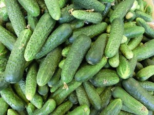 cucumbers-379886_640