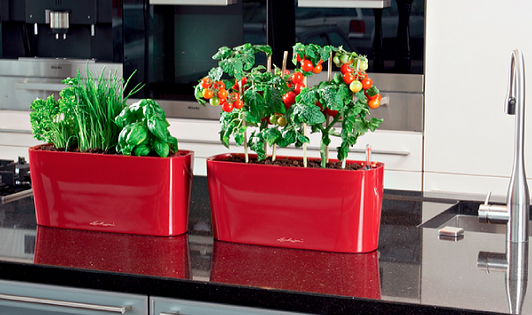 一人暮らしでも簡単にプランター菜園でできるおすすめの野菜とは 家庭菜園インフォパーク