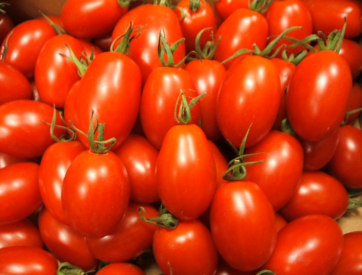 ミニトマト アイコ の品種特性と上手に収穫する育て方 家庭菜園インフォパーク