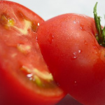 【種を冷やしてトマトを甘くする】種から栽培するマネしたいコツ