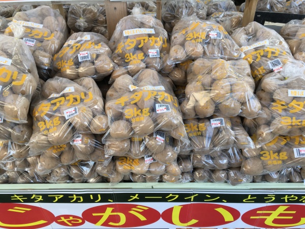 ジャガイモ栽培人気種類と特徴一覧 カレーや料理に使おう 家庭菜園インフォパーク