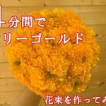 マリーゴールドの花束の作り方｜最新の切花用品種も紹介