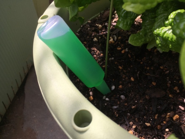 液体肥料 さすタイプ アンプル の使い方 活力剤と間違えないことに注意 家庭菜園インフォパーク