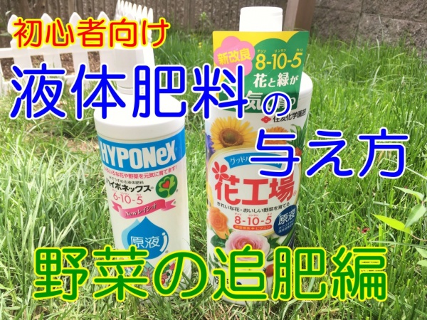 液体肥料の与え方 野菜の追肥を初心者向けに画像解説 家庭菜園インフォパーク