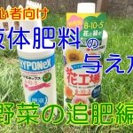 液体肥料の与え方-野菜の追肥を初心者向けに画像解説!