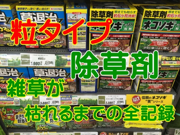 除草剤の撒き方 粒剤 雑草が枯れるまでの全記録を画像で紹介 家庭菜園インフォパーク