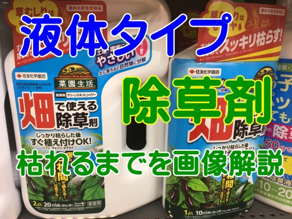 家庭菜園で使える除草剤の撒き方 液体タイプで枯れるまでを画像解説 家庭菜園インフォパーク